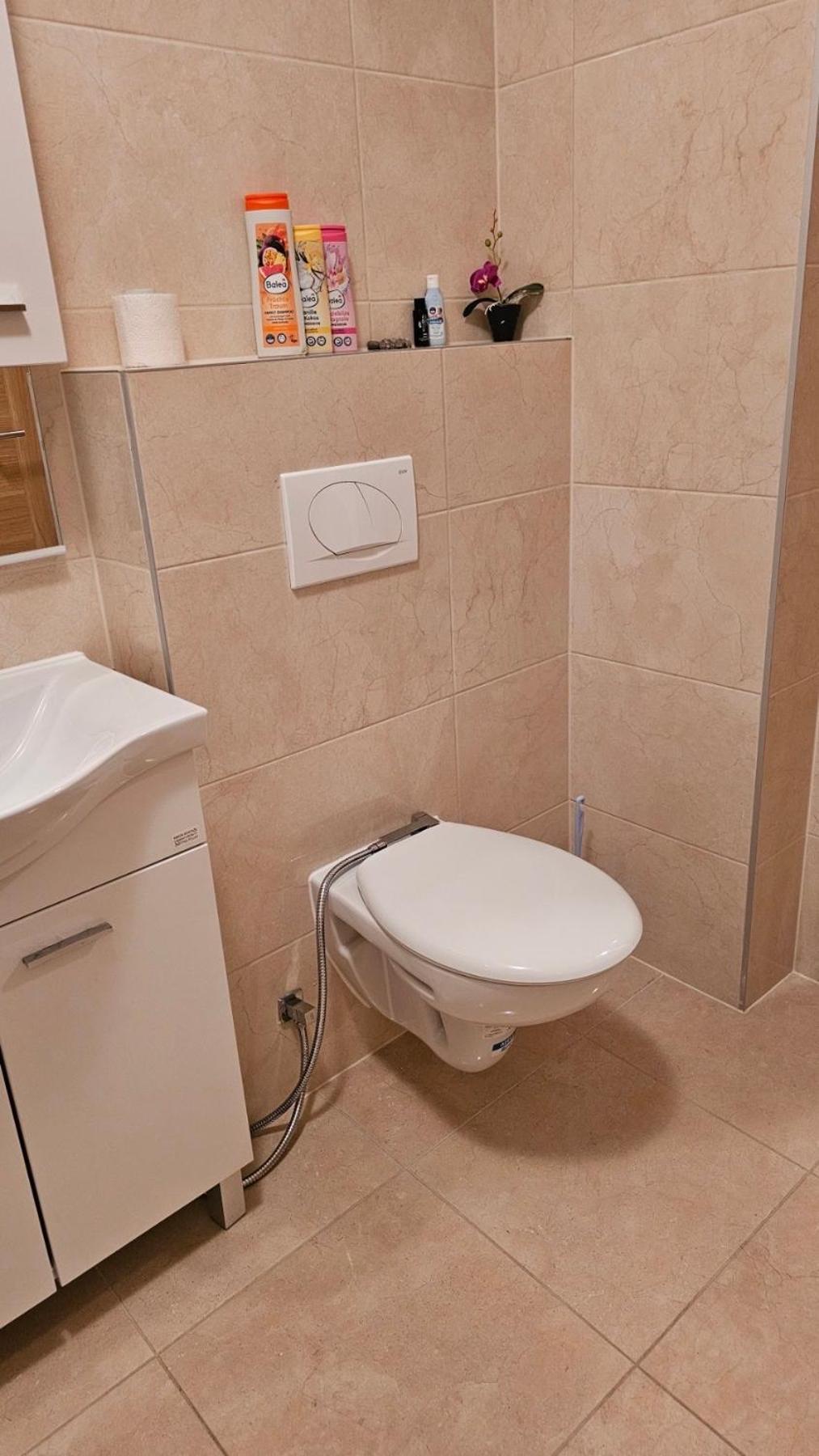 מוסטר Apartment Ljalja מראה חיצוני תמונה